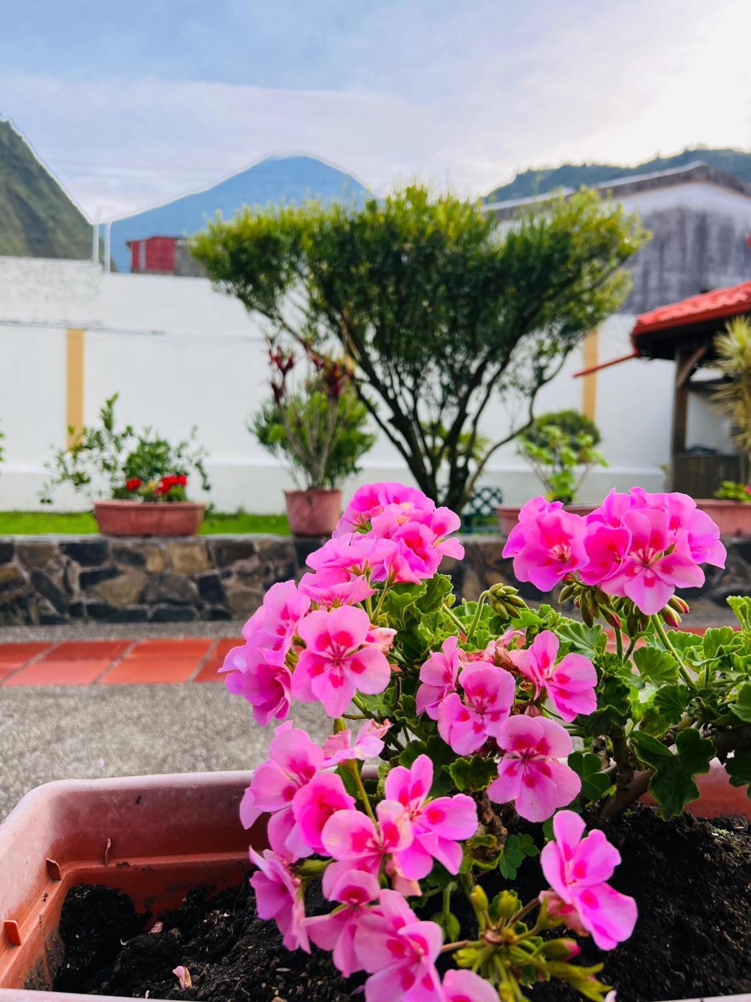 Hostal Monte Carmelo بانيوس المظهر الخارجي الصورة